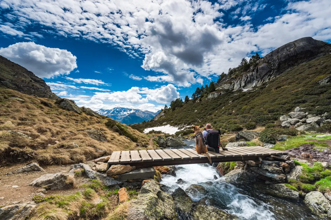 Hiker with a dog crossing a small footbridge on an alpine trail