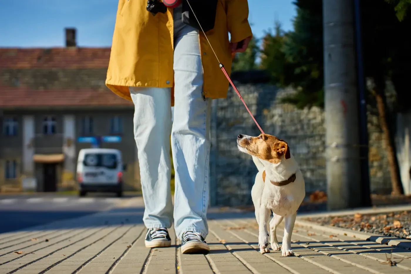 Owner walking a small dog on leash along a city sidewalk