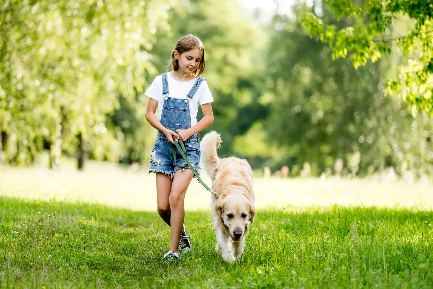 Girl walking a golden retriever on leash through a park