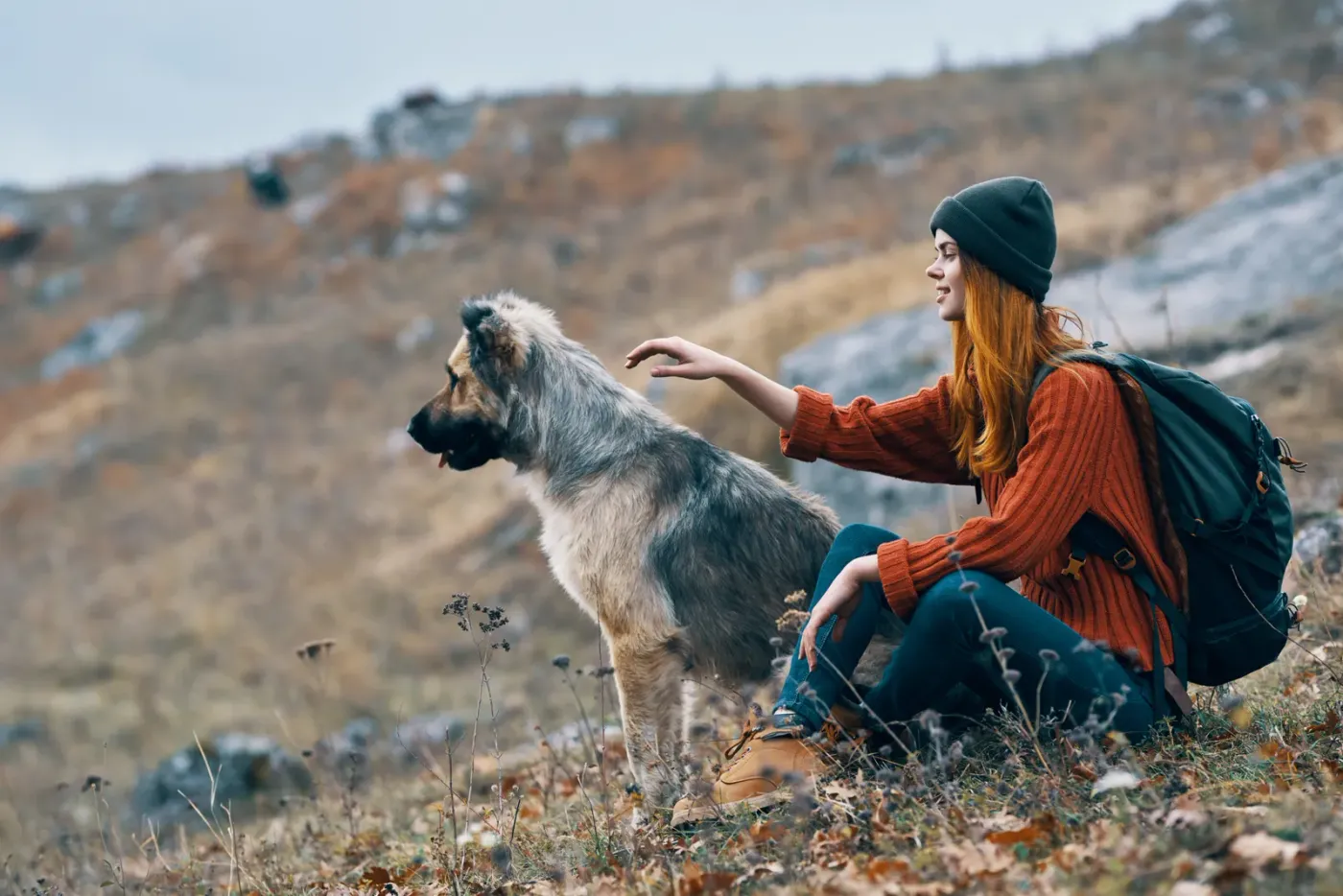 Woman and her dog on a mountain viewpoint