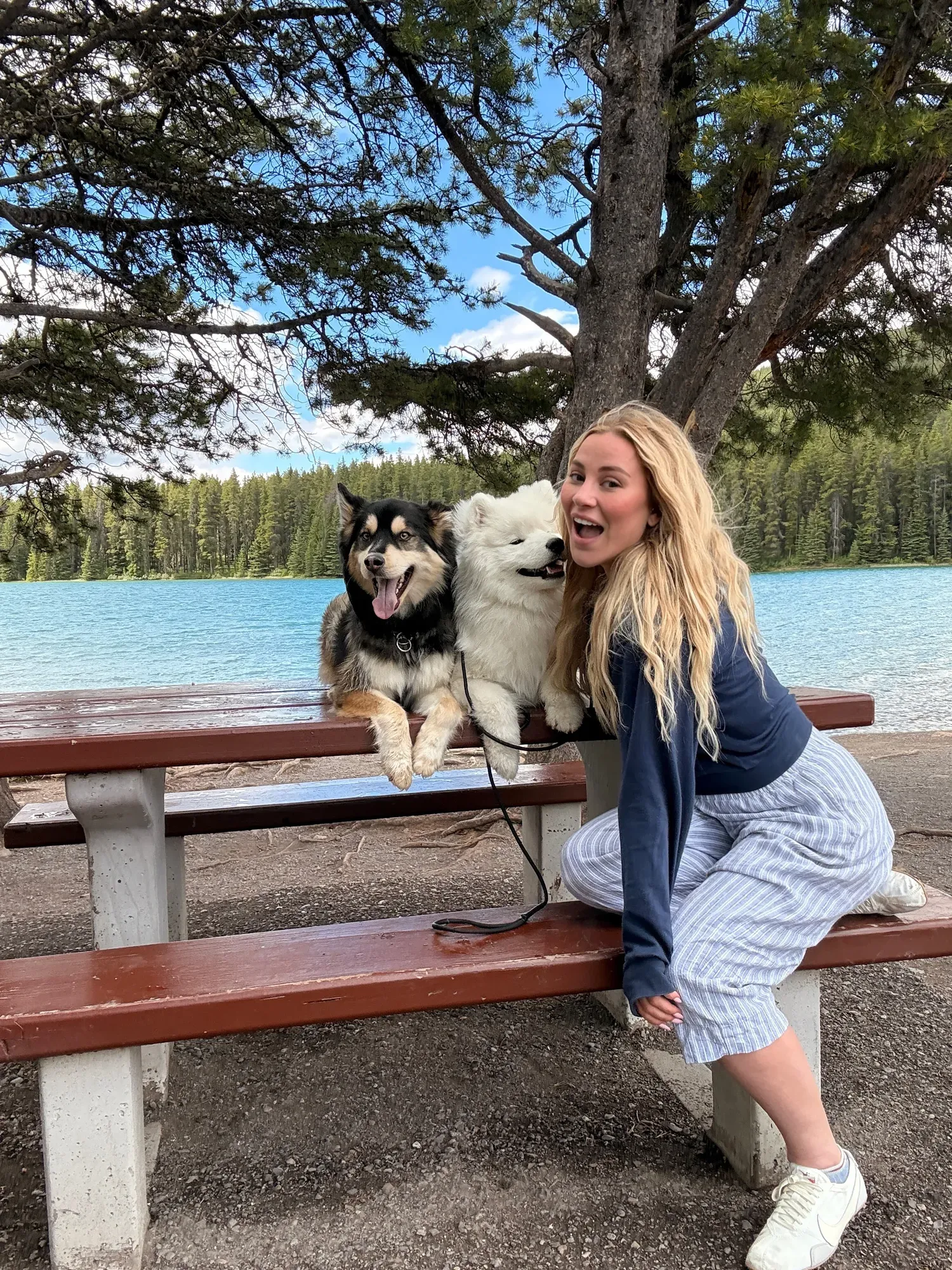 Kaitlin laughing on a lakeside bench with two fluffy dogs at her side