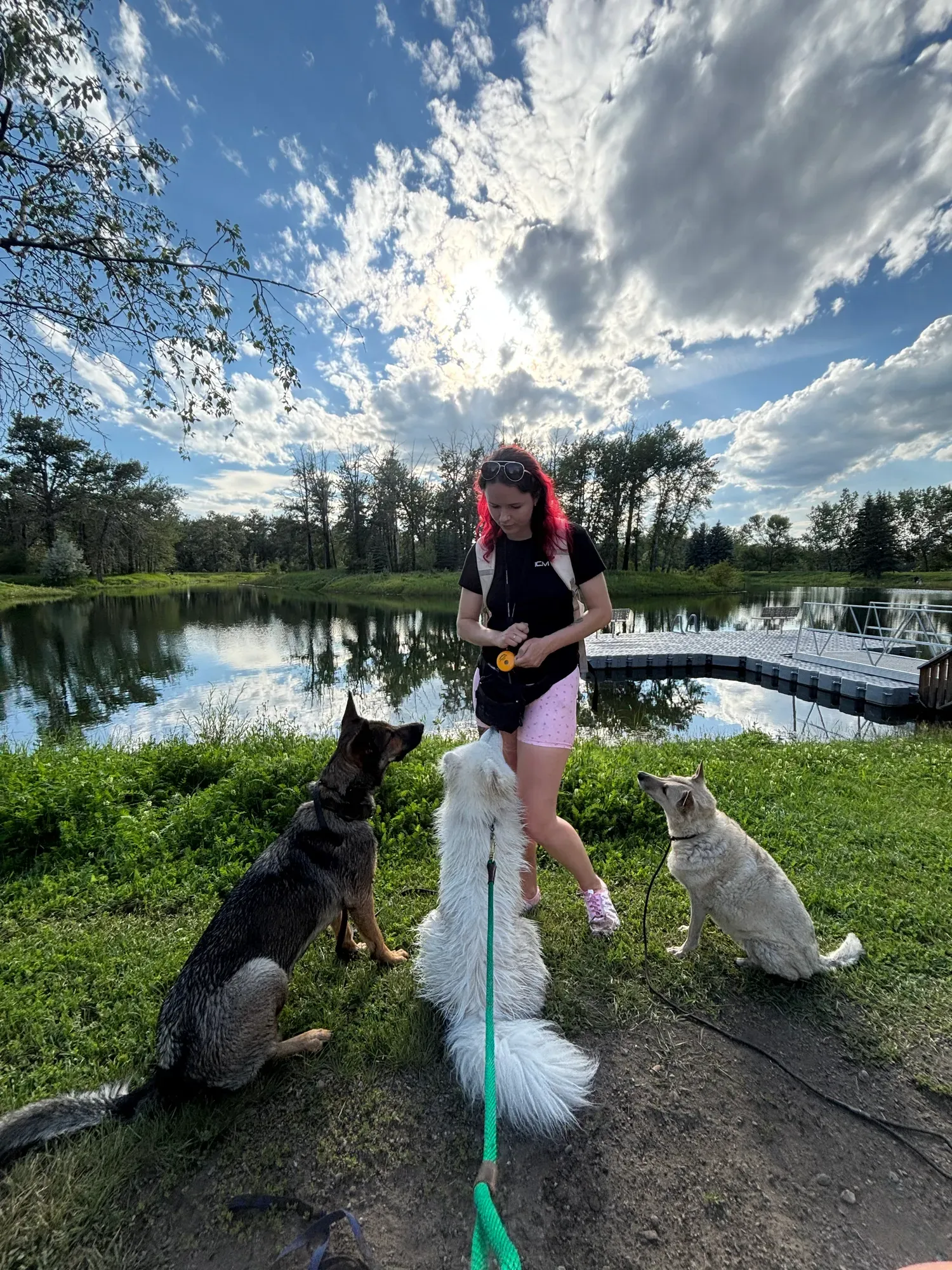 Kaitlin rewarding two dogs holding a sit beside a prairie lake under a big sky