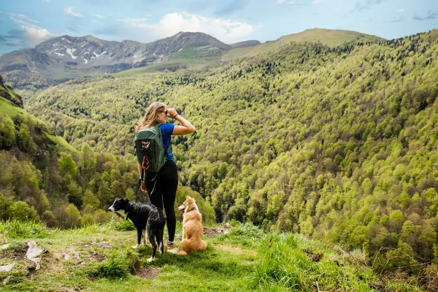 Hikers with two dogs pausing on a mountain trail above a valley