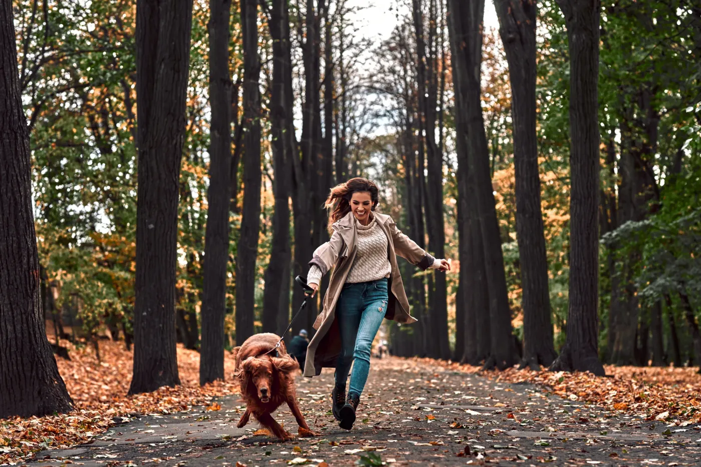 Dog pulling hard on the leash ahead of its jogging owner in an autumn park