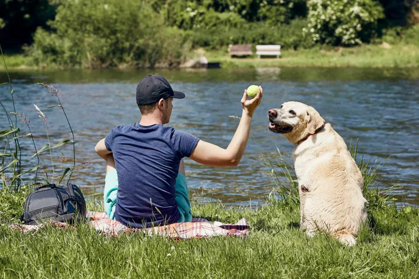 Man and his lab sitting on a riverbank on a summer afternoon