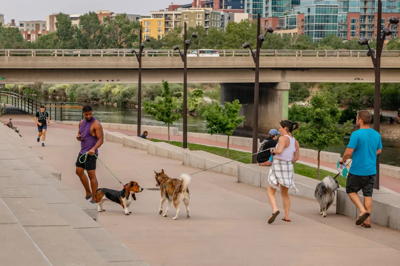 Busy riverside pathway with several people walking their dogs