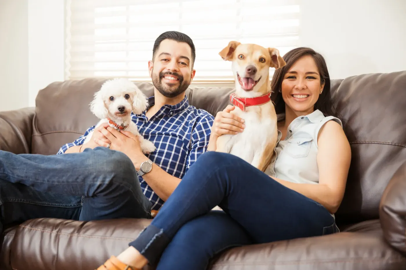 Couple on a couch with their two dogs