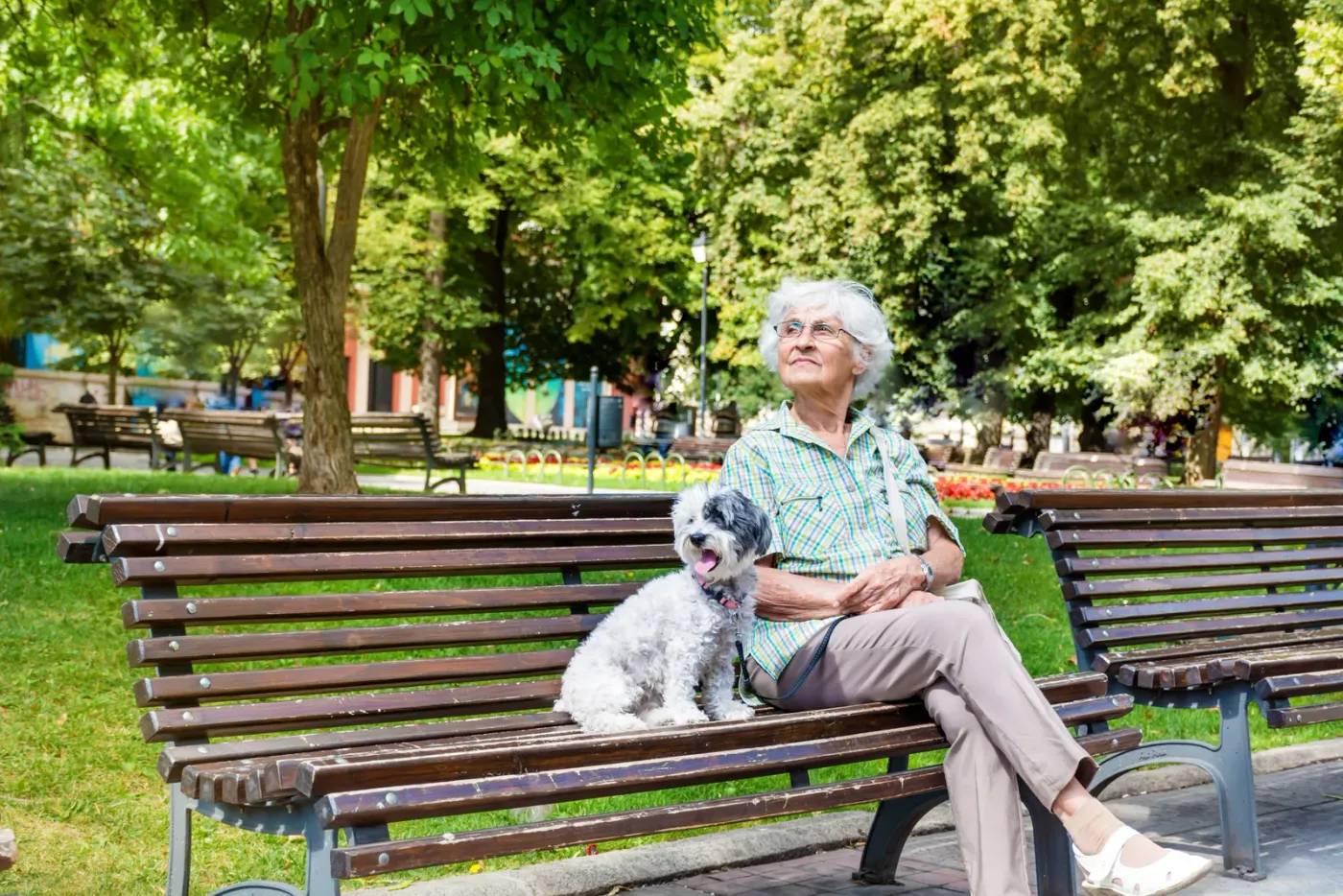 Older woman sitting on a park bench with a small dog on her lap