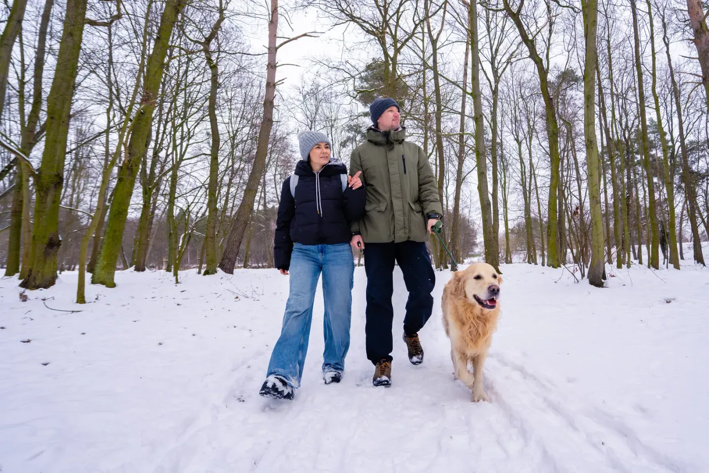 Couple walking a golden retriever through a snowy park