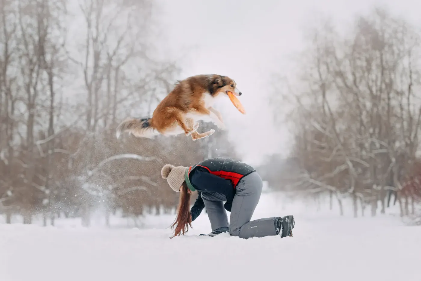 Dog leaping over its kneeling owner in a snowy park