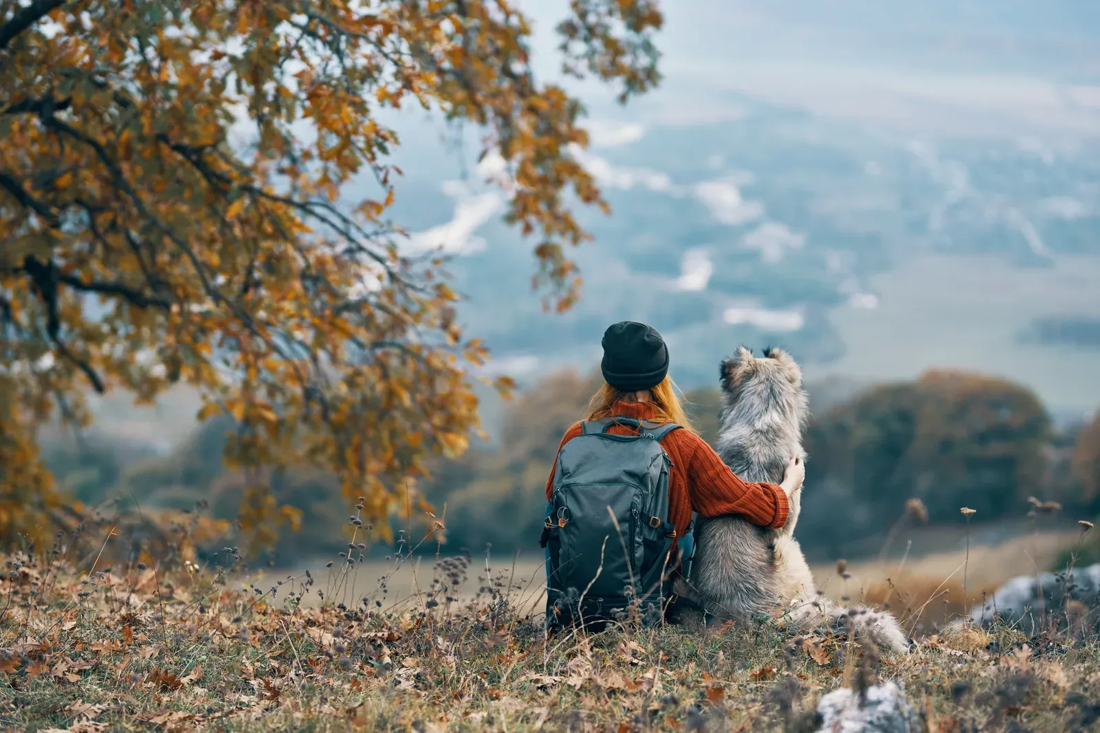 Woman and dog sitting together on a hillside overlooking a valley